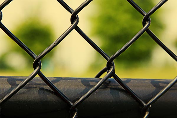 Chainlink fence in West Park